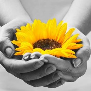 Meet your Posher, Summer